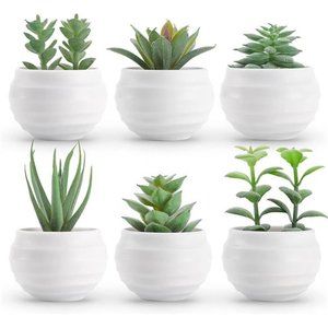 6 pack Succulents Plants Artificial in Pots Small Fake Plants Bedroom Aesthetic